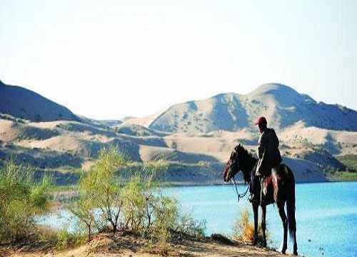 穿越塔克拉玛干 死亡之海中感受生命2