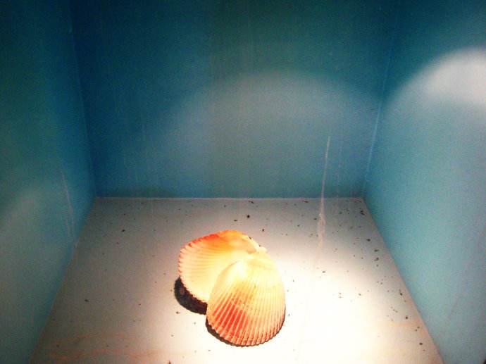 新疆乌鲁木齐沙海绿珠海洋世界