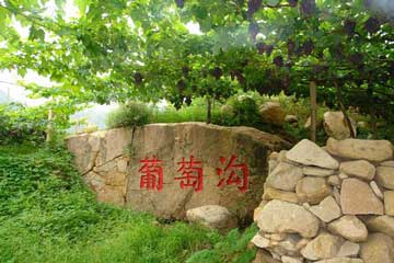 北疆自然风光天池、喀纳斯、吐鲁番、南疆民俗