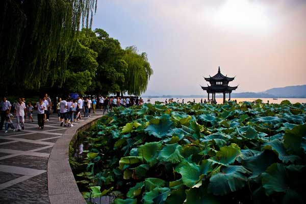华东五市“乌镇.南浔”厦门.鼓浪屿.武夷山单飞三卧13日“纯玩游”