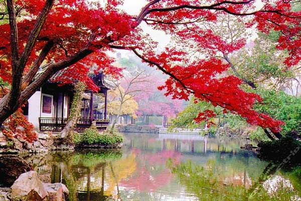 华东五市“乌镇”、木渎、海口、兴隆、三亚四飞11日游