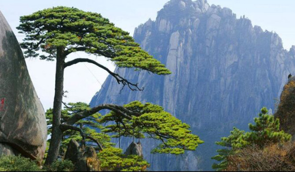 上海.苏州.无锡.南京.黄山.千岛湖.杭州.千年水乡“乌镇”单飞单卧12日