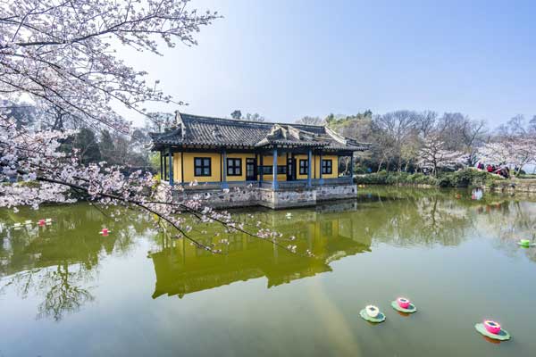 华东五市+水乡“乌镇西栅”至尊纯玩 双飞7日游