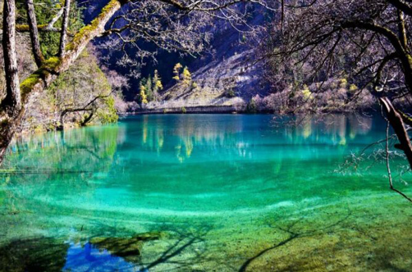 成都.九寨.牟尼沟.峨眉全山.乐山青城山.都江堰.宜宾.蜀南竹海双飞10日
