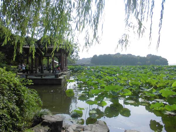 亲子游故宫.长城.北大或清华.南京大屠杀纪念馆.常州恐龙乐园单飞10日